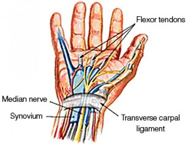 Bondi Junction Hand Therapy – 2015