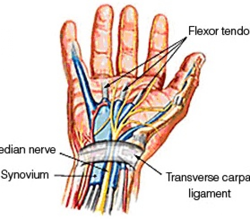 2015 – Bondi Junction Hand Therapy